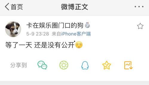 爆料吃瓜聊天室