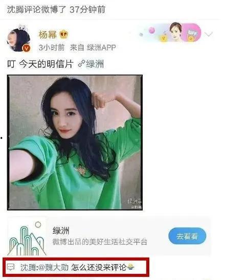 娱乐圈吃瓜视频在哪找到,吃瓜视频热门平台大盘点